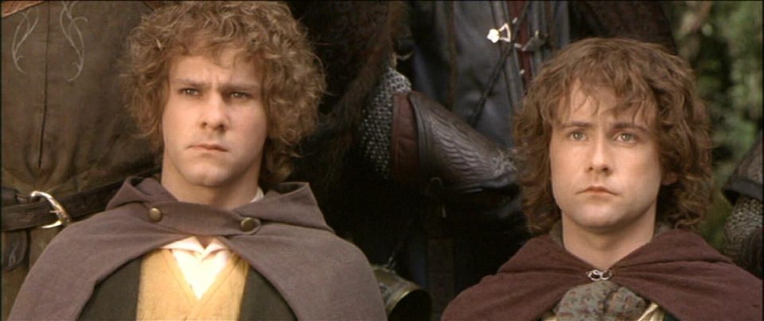 lord of the rings merry pippin